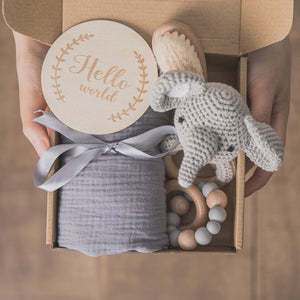 Teether Gift Set