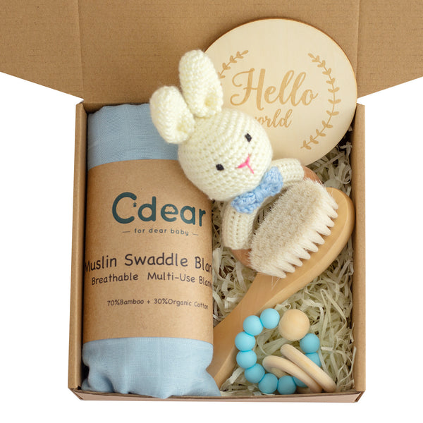 Teether Gift Set